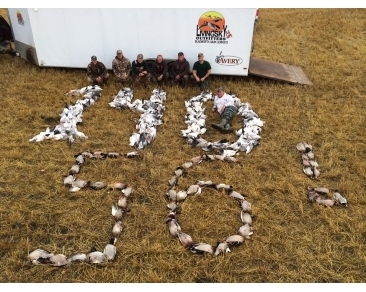 waterfowl_slide (10)