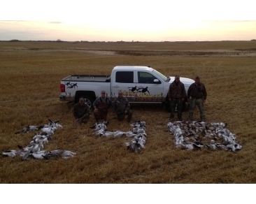 waterfowl_slide (13)