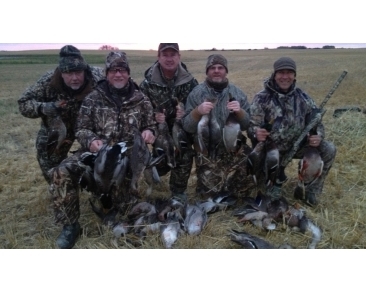 waterfowl_slide (19)