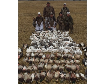 waterfowl_slide (21)