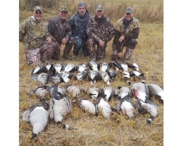 waterfowl_slide (24)