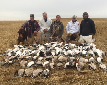 waterfowl_slide (25)